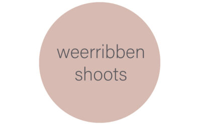 Weerribben shoots
